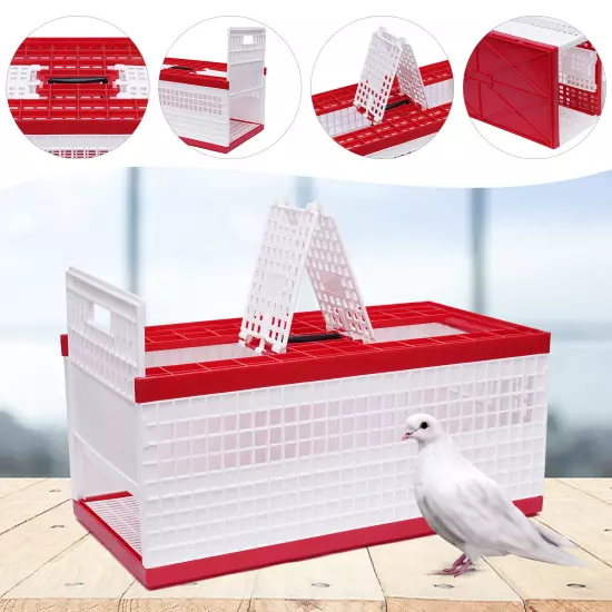 14 Birds Pigeon Training Basket Folding Collapsing Cage Nest Bird Box w/ 4 Doors