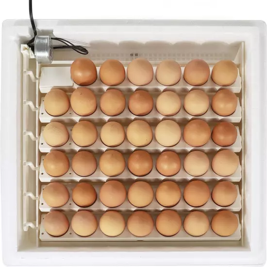 3200 Automatic 41 Spot Egg Turner, Eliminate Manual Handling & Improve Hatching