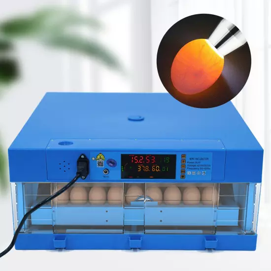 110V 12V chicken duck goose 64 egg incubator --Fully automatic dual power supply