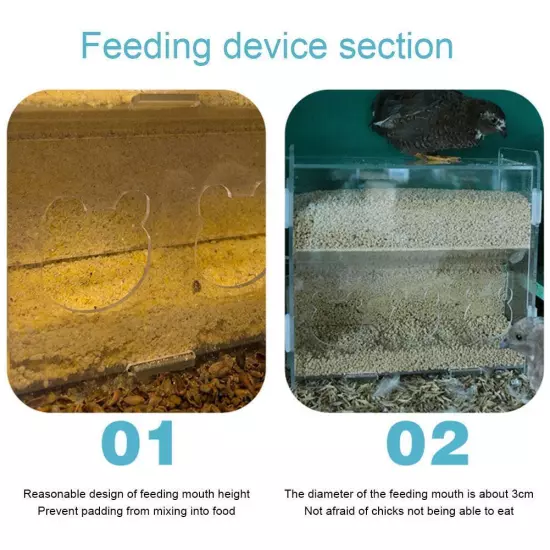 Luding Chicken Automatic Feeder Acrylic Automatic Feeder.