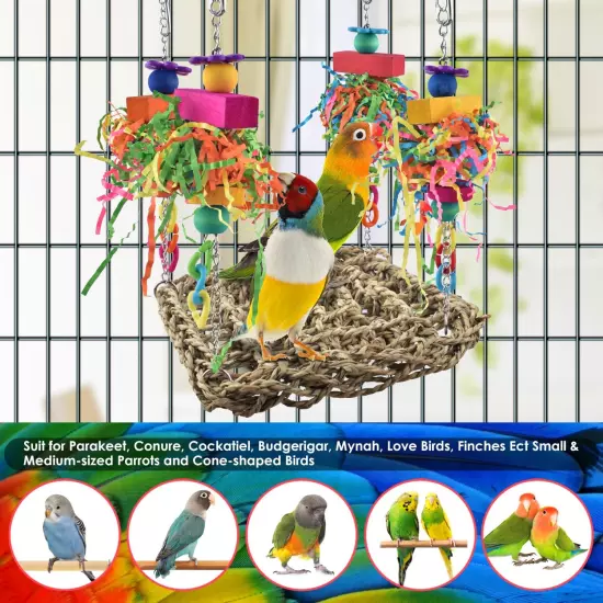 Conure Toys, Bird Grass Swing Mat Parrot Climbing Hammock with Colorful Toys for