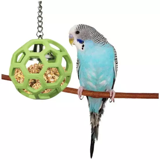 JW Pet Insight Pet Hol-ee Roller Natural Rubber Ball Parrots Forage Bird Toy Med