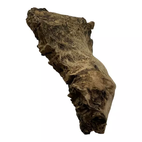 Missouri Ozark Area Driftwood Decor For Aquarium 8½"×5"×3" Swirl Wood Pattern 