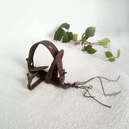 Antique Animal Trap Small Hunting Tool Salvage Rusty Metal Cabin Fireplace Decor