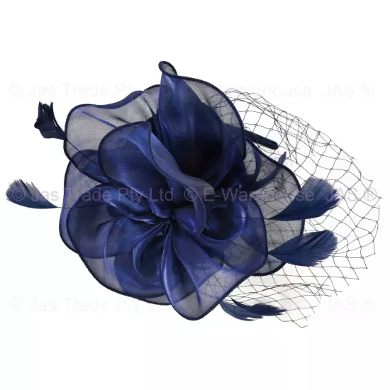 Melbourne Cup Spring Races Racing Carnival Headband Clip Hatinator Fascinator