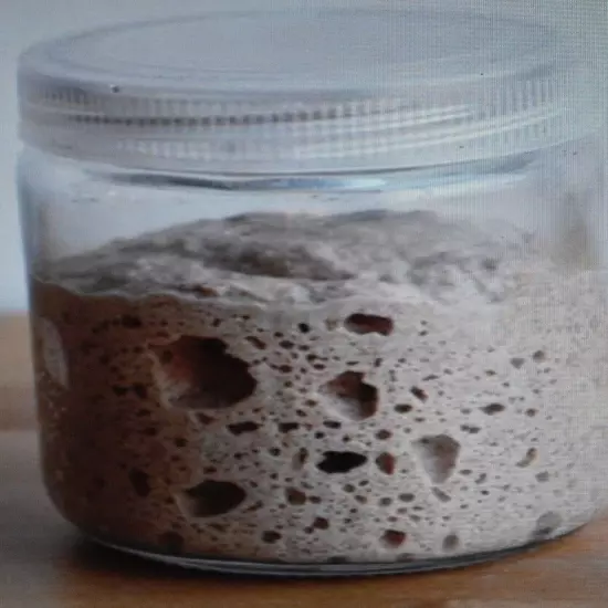 sourdough starter yeast from the "WHARF" in SAN FRANCISCO 145 YR OLD W/recipes 