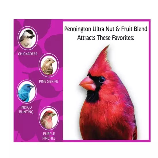 Pennington Ultra Fruit & Nut Blend, Dry Wild Bird Seed and Feed, 6 lb 1 Pack Bag