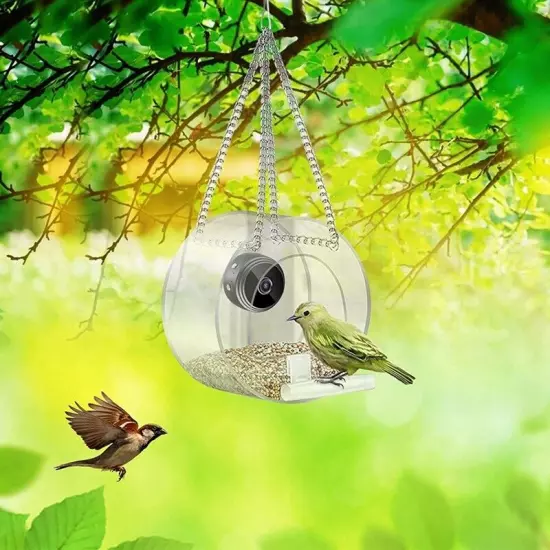  Bird House Pet Feeder Acrylic with Camera Home Pet Bird Feeder Transparent6725