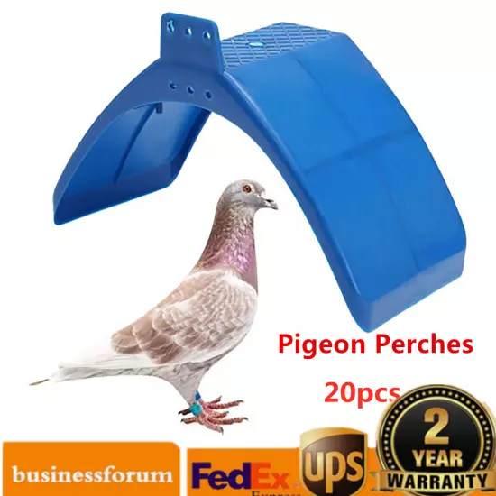 20x Pigeon Dove Bird Rest Stand Frame Dwelling Perches Roost Bird Supplies Blue