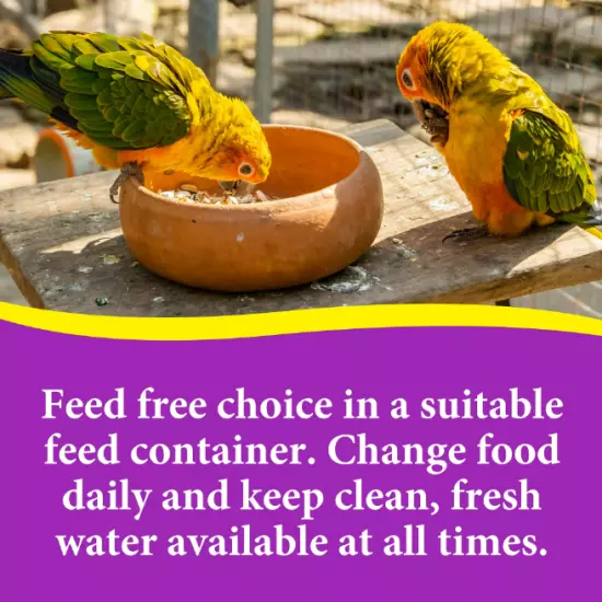 3-D Pet Products Premium Cockatiel Mix Bird Food Seeds with Probiotics 9lb