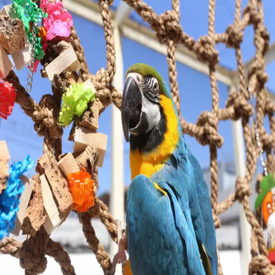 Parrot Rope Climbing Net from Parrot Wizard