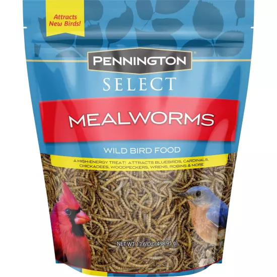 Select Mealworms, Bluebird and Wild Bird Food, 17.6 Oz. Bag, 1 Pack,