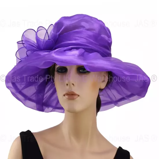 Spring Race Carnival Derby Day Church Wedding Women Ladies Organza Evening Hat