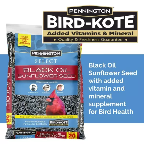 Pennington Select Black Oil Sunflower Seed Wild Bird Feed 10, 20 & 40 Lb Bag