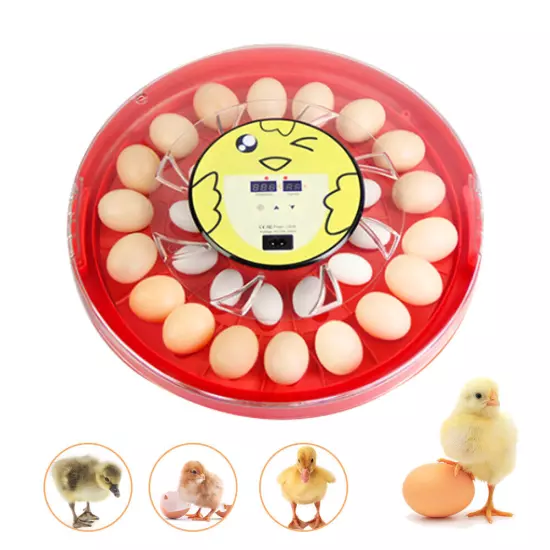 30-Egg Automatic Egg Hatcher Egg Turning System Mini Digital Egg Incubator