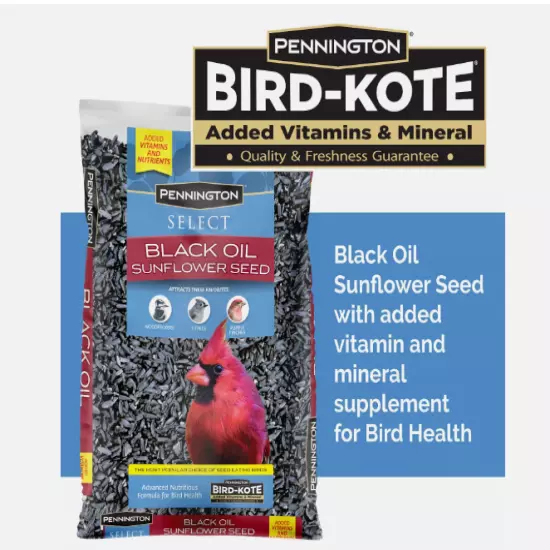 Pennington Select Black Oil Sunflower Seed Wild Bird Feed 10, 20 & 40 Lb Bag USA