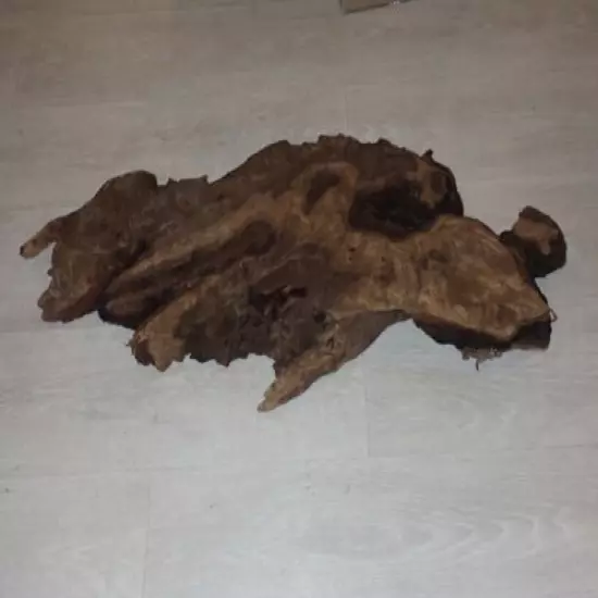 33" x 15" Unique Piece of Wood For Projects Taxidermy Etc. 