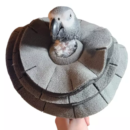 Soft Bird Collar for Congo African Grey Parrots - For Picking/Plucking Birds