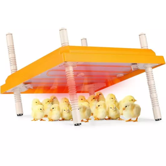 Brooder Heater for Chicks, 10" x 10" Thermostatically Controlled Brooder Heat...