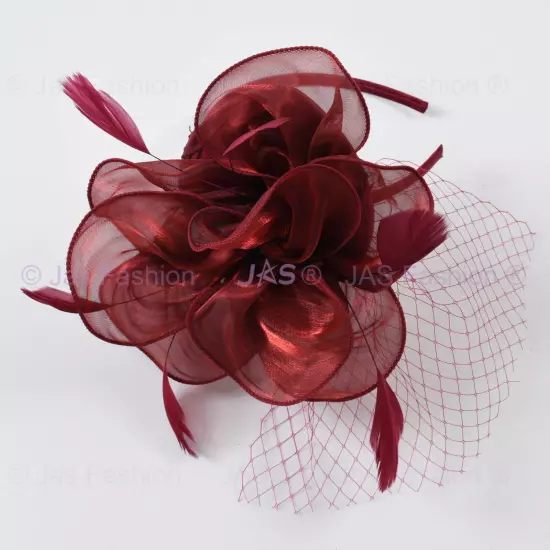 Melbourne Cup Spring Races Racing Carnival Headband Clip Hatinator Fascinator