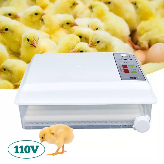 64 Digital Eggs Incubator Egg Hatcher With Temperature Control Automatic Turner