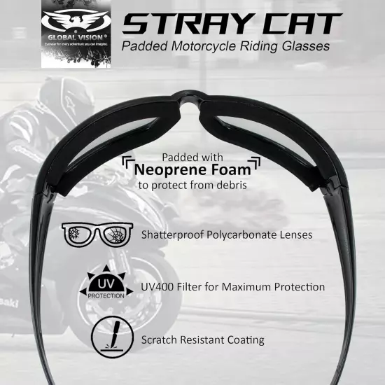 Transition Stray Cat 24 Motorcycle Sunglasses with Clear to Smoke Anti-Fog Photo