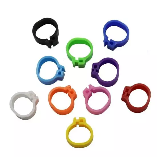 200PC Plastic Racing Pigeon Leg Rings Bands Birds Training Accessories 10mm New