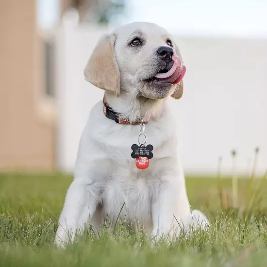 Dog Tag Clips with Keychains, Durable Dog ID Tag with Tag Rings Stainless Steel 