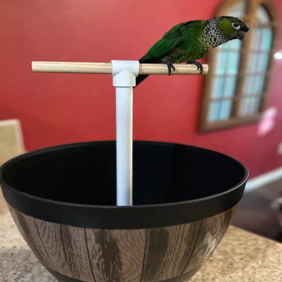 Bird Barrel Bird Perch