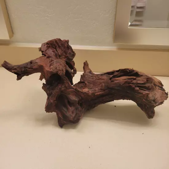 XL Pacific Driftwood 20.5" (Boil and/or secure with rocks to sink in aquarium)