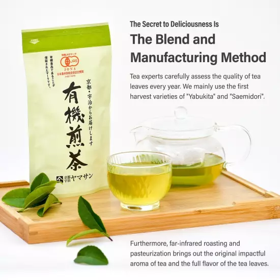 Japanese Organic Sencha Green Tea 1KG From Kyoto Japan YAMASAN Free Shipping