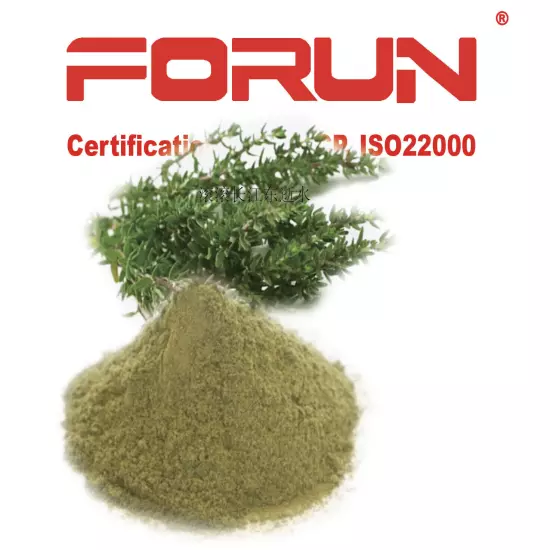 FORUN Pure Thyme Powder - Fine Ground, Strong Flavour