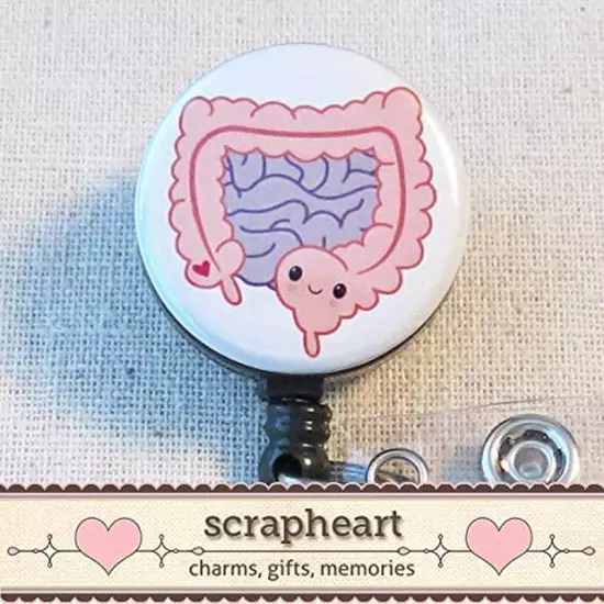 COLON Badge Reel, Fun Badge Holder, GI Intestines Badge Reel, Gastroenterology