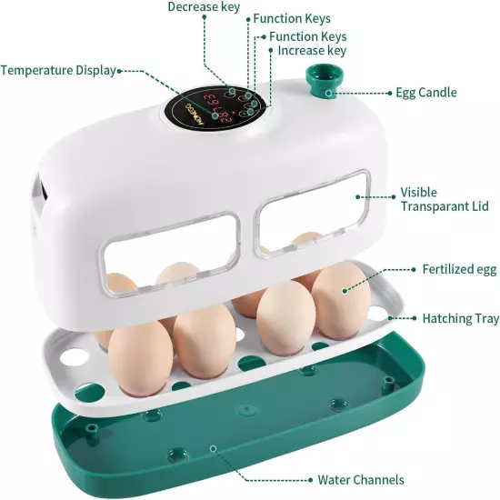 Egg Incubator, 8 Eggs Poultry Hatcher with Humidity Temperature Control, Led