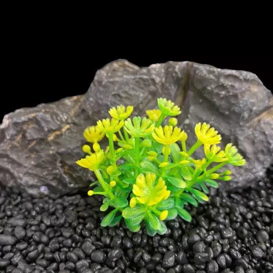 Artificial Plastic Water Grass Plants Aquarium Home Fish Tank Landscape Decor