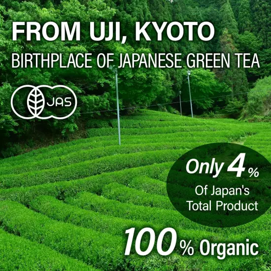 Japanese Organic Sencha Green Tea 1KG From Kyoto Japan YAMASAN Free Shipping