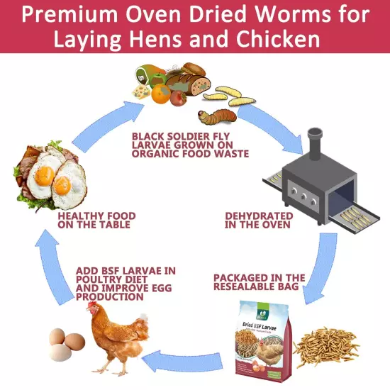 Dried Black Soldier Fly Larvae, More Calcium Chickens Feed Than Mealworms, 10...