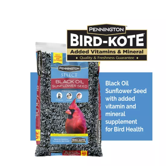 Pennington Select Black Oil Sunflower Seed Dry Wild Bird Feed, 40 lb. Bag, 1 Pac