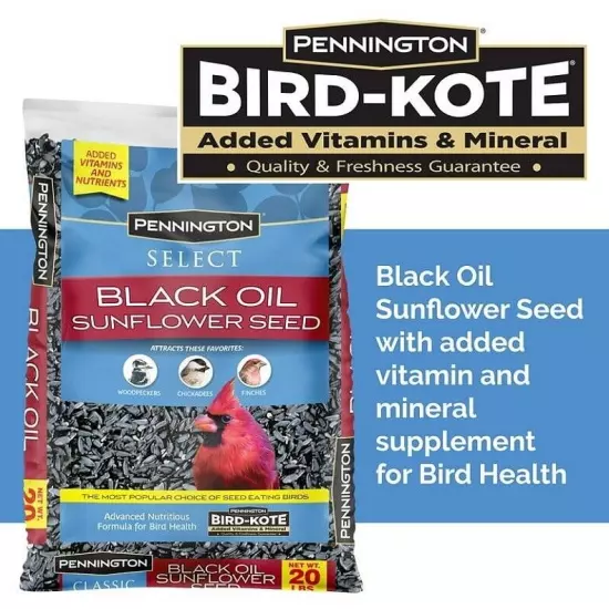 Pennington Select Black Oil Sunflower Seed Dry Wild Bird Feed, 40 lb. Bag 1 Pack