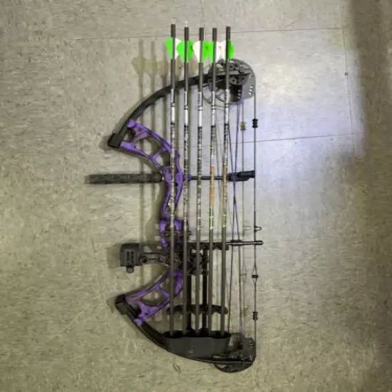 Bear Archery Cruzer G2 RTH Compound Bow (Purple)