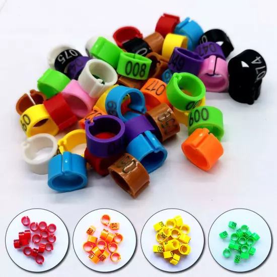 100pcs Plastic Bird Dove Pigeon Parrot Bird Clip Leg Rings Pet Supplies