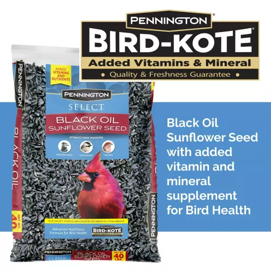 Pennington Select Black Oil Sunflower Seed Dry Wild Bird Feed, 40 lb. x 2 pack