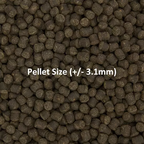 Ocean Nutrition Formula Two Pellets 14-Ounces (400 Grams) Jar - Medium Pellet Si