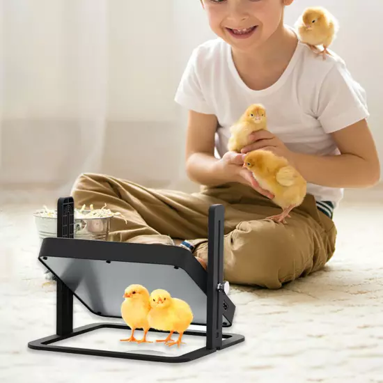 Chick Brooder Heater Smart Constant Temperature Adjustable Temperature Height Br