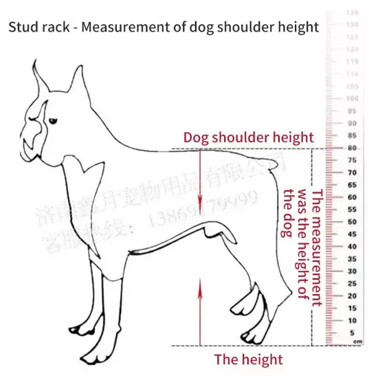 Sonorphine Dog Breeding Stand Stainless Steel Dog Breeding Stand Adjustable