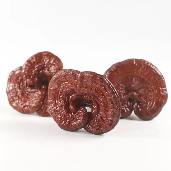 Dried Wild Lingzhi Purple Ganoderma Lucidum Herbal Organic Reishi Mushroom 500g