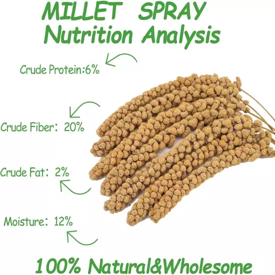 5Lbs Millet Spray for Birds, Sun Dried Spray Millet, Original Bird & Supplement