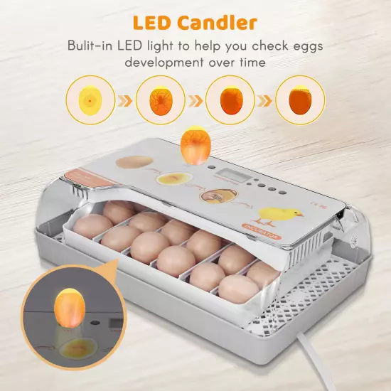 Digital Incubator 20 Eggs Poultry Hatcher with Auto Turning W6R6