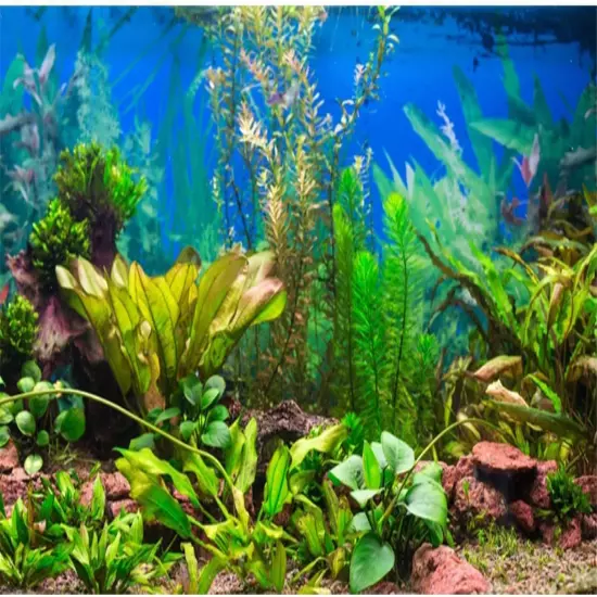 48X24 Inches Aquarium Background Aquatic Plant River Bed & Lake Fish Tank Backgr