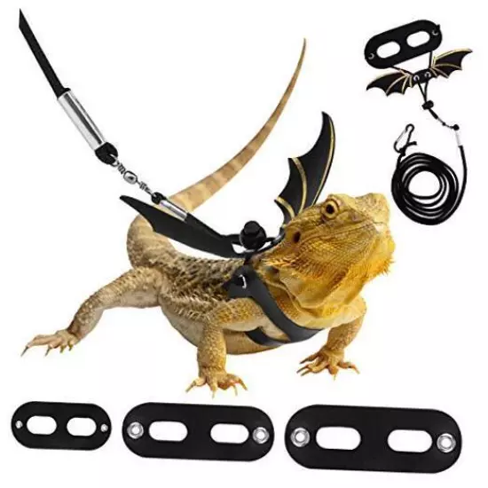  Adjustable Bearded Dragon Harness and Leash, 3 Size Leather Reptile Black+Gold